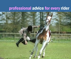 professional advice for every rider
