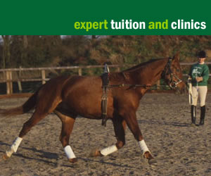 expert tuiton and clinics